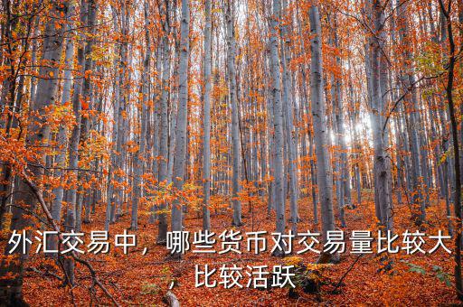 外匯交易中，哪些貨幣對交易量比較大，比較活躍