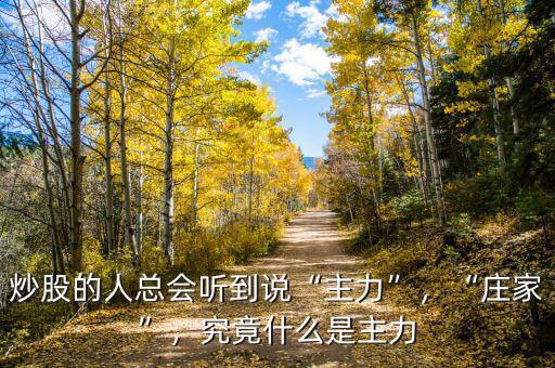 炒股的人總會聽到說“主力”，“莊家”，究竟什么是主力