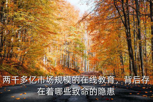 兩千多億市場(chǎng)規(guī)模的在線教育，背后存在著哪些致命的隱患