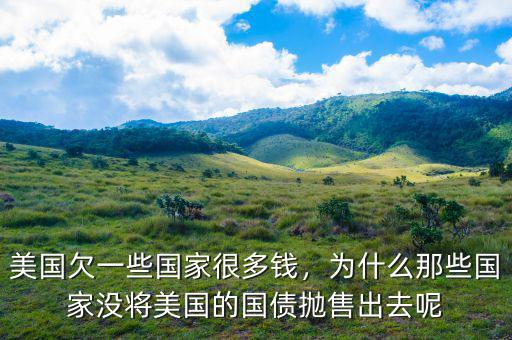 美國欠一些國家很多錢，為什么那些國家沒將美國的國債拋售出去呢