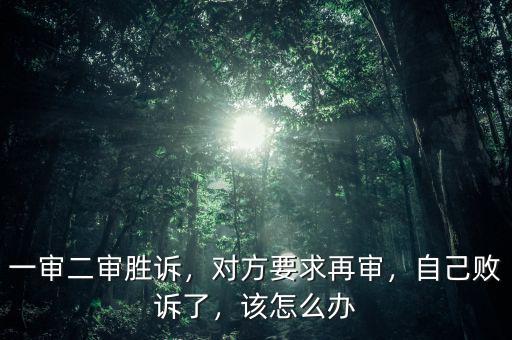 一審二審勝訴，對方要求再審，自己敗訴了，該怎么辦