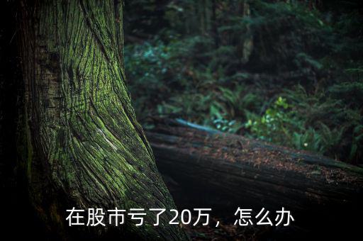 在股市虧了20萬，怎么辦