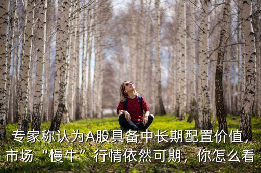 專家稱認為A股具備中長期配置價值，市場“慢?！毙星橐廊豢善?，你怎么看