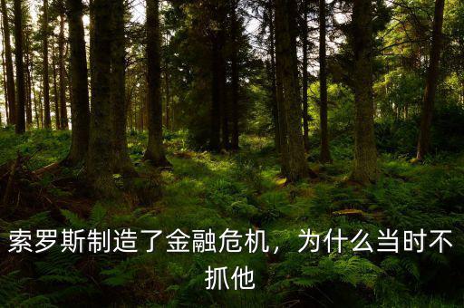 索羅斯制造了金融危機(jī)，為什么當(dāng)時(shí)不抓他