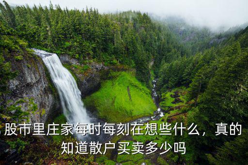 股市里莊家每時每刻在想些什么，真的知道散戶買賣多少嗎