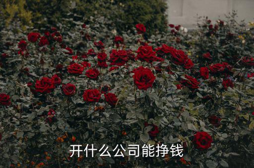 開(kāi)什么公司能掙錢(qián)