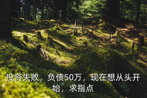 投資失敗，負(fù)債50萬，現(xiàn)在想從頭開始，求指點