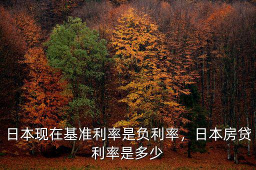 日本現(xiàn)在基準(zhǔn)利率是負(fù)利率，日本房貸利率是多少