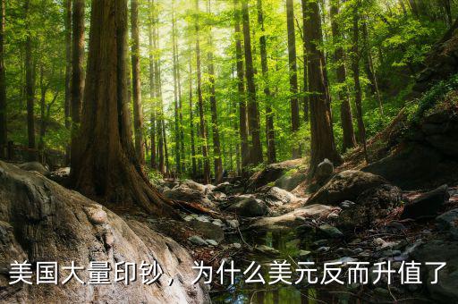 美國大量印鈔，為什么美元反而升值了