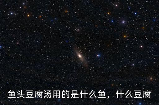 魚頭豆腐湯用的是什么魚，什么豆腐