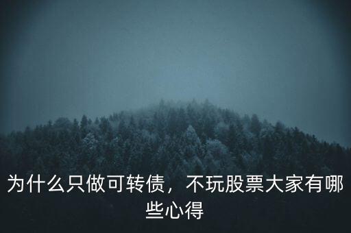 為什么只做可轉(zhuǎn)債，不玩股票大家有哪些心得