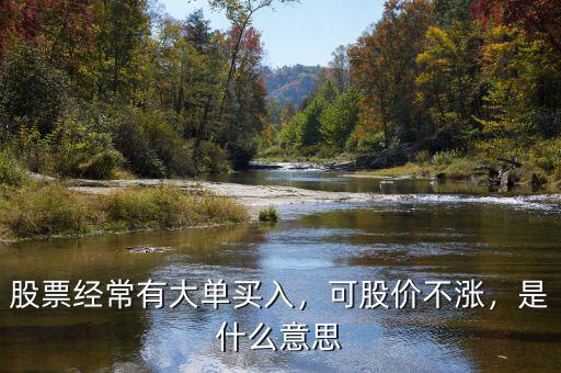 股票經(jīng)常有大單買入，可股價不漲，是什么意思