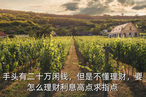 手頭有二十萬閑錢，但是不懂理財(cái)，要怎么理財(cái)利息高點(diǎn)求指點(diǎn)