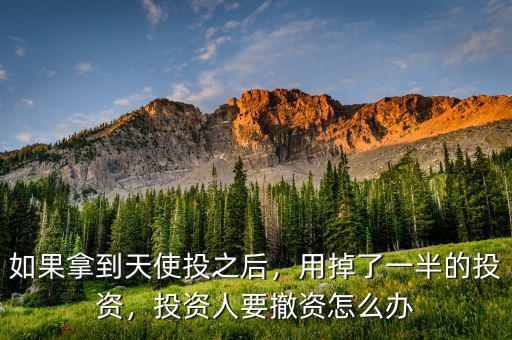 如果拿到天使投之后，用掉了一半的投資，投資人要撤資怎么辦
