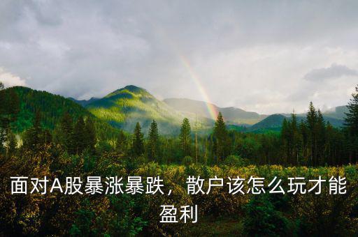 面對(duì)A股暴漲暴跌，散戶該怎么玩才能盈利