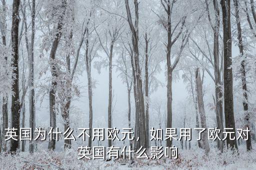 英國為什么不用歐元，如果用了歐元對英國有什么影響