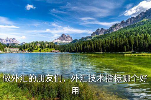 做外匯的朋友們，外匯技術指標哪個好用