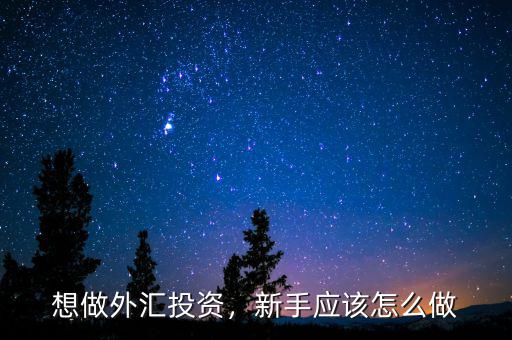 想做外匯投資，新手應該怎么做