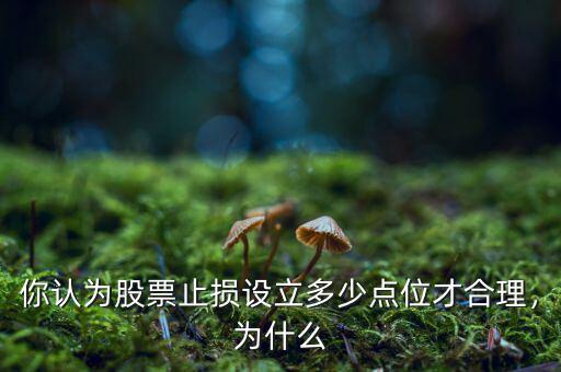 你認(rèn)為股票止損設(shè)立多少點位才合理，為什么
