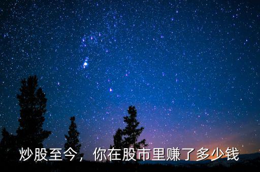 炒股至今，你在股市里賺了多少錢