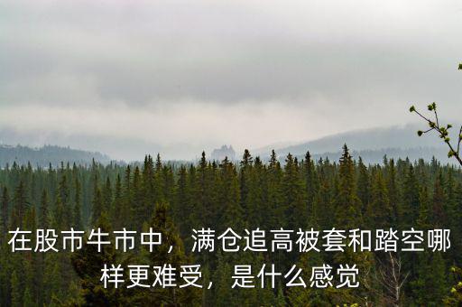在股市牛市中，滿倉追高被套和踏空哪樣更難受，是什么感覺