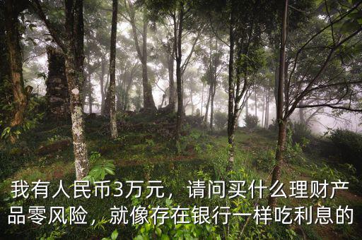 我有人民幣3萬(wàn)元，請(qǐng)問(wèn)買什么理財(cái)產(chǎn)品零風(fēng)險(xiǎn)，就像存在銀行一樣吃利息的