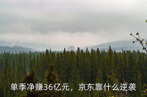 單季凈賺36億元，京東靠什么逆襲