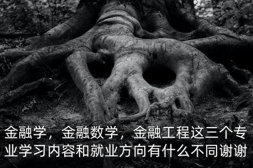 金融學(xué)，金融數(shù)學(xué)，金融工程這三個(gè)專業(yè)學(xué)習(xí)內(nèi)容和就業(yè)方向有什么不同謝謝