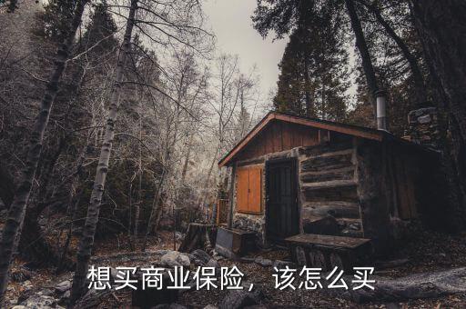 想買商業(yè)保險(xiǎn)，該怎么買