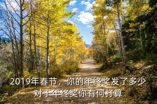 2019年春節(jié)，你的年終獎(jiǎng)發(fā)了多少對(duì)于年終獎(jiǎng)你有何打算