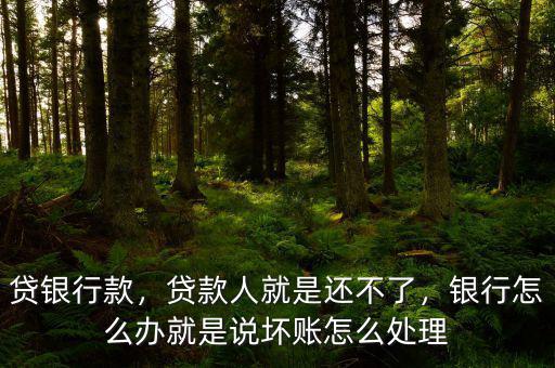貸銀行款，貸款人就是還不了，銀行怎么辦就是說壞賬怎么處理