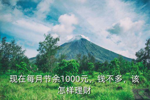 現(xiàn)在每月節(jié)余1000元，錢不多，該怎樣理財(cái)