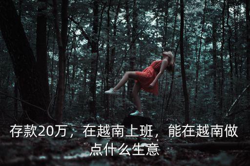存款20萬，在越南上班，能在越南做點什么生意