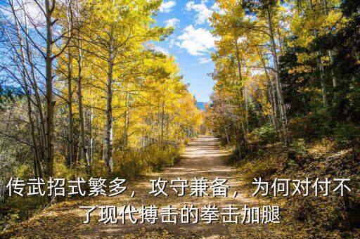 傳武招式繁多，攻守兼?zhèn)?，為何對付不了現(xiàn)代搏擊的拳擊加腿