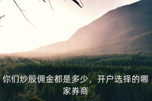 你們炒股傭金都是多少，開戶選擇的哪家券商