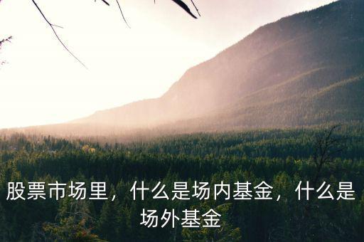 股票市場里，什么是場內(nèi)基金，什么是場外基金