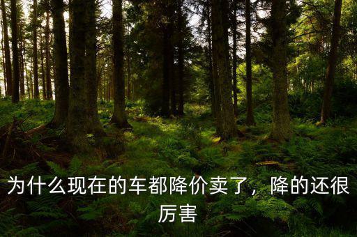 為什么現(xiàn)在的車都降價(jià)賣了，降的還很厲害