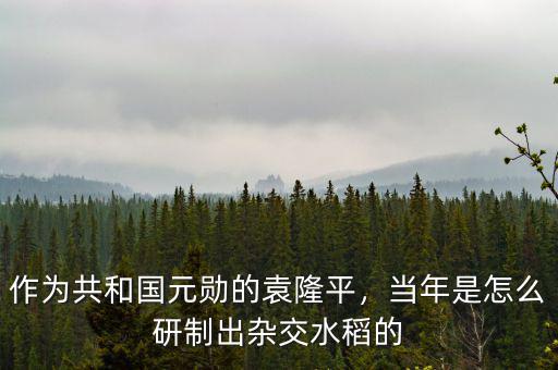 作為共和國元勛的袁隆平，當(dāng)年是怎么研制出雜交水稻的