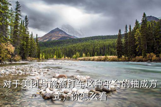 對(duì)于美團(tuán)與滴滴打車(chē)這種平臺(tái)的抽成方式，你怎么看