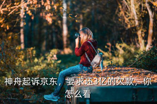 神舟起訴京東，要求還3億的欠款，你怎么看