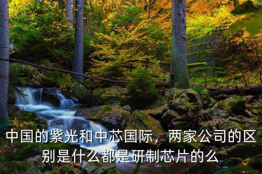 中國的紫光和中芯國際，兩家公司的區(qū)別是什么都是研制芯片的么
