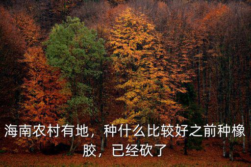 海南農(nóng)村有地，種什么比較好之前種橡膠，已經(jīng)砍了