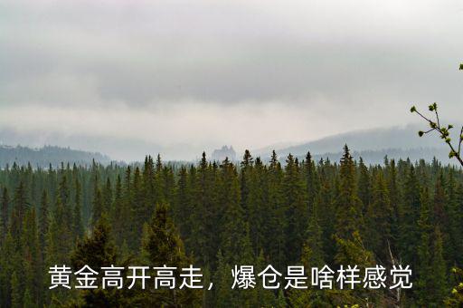 黃金高開高走，爆倉是啥樣感覺
