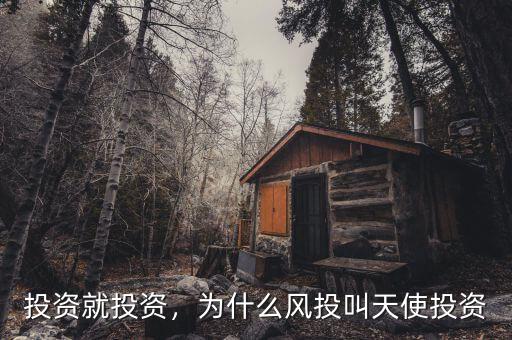 投資就投資，為什么風(fēng)投叫天使投資