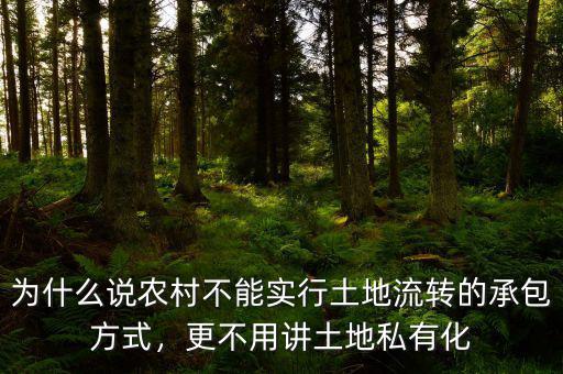 我國為什么不能實行農村土地私有化,為什么土地絕不能私有化