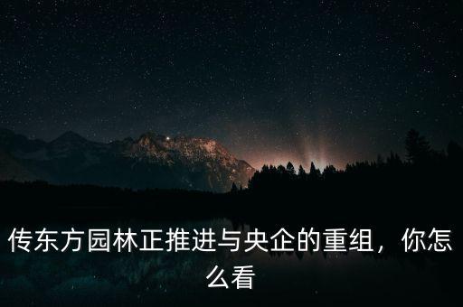 傳東方園林正推進(jìn)與央企的重組，你怎么看