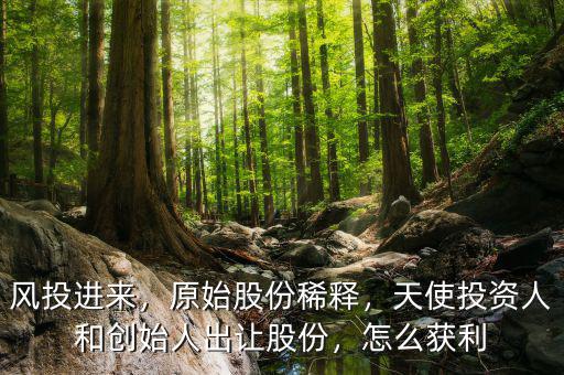 風(fēng)投進(jìn)來，原始股份稀釋，天使投資人和創(chuàng)始人出讓股份，怎么獲利