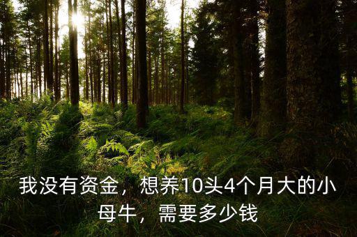 我沒有資金，想養(yǎng)10頭4個月大的小母牛，需要多少錢