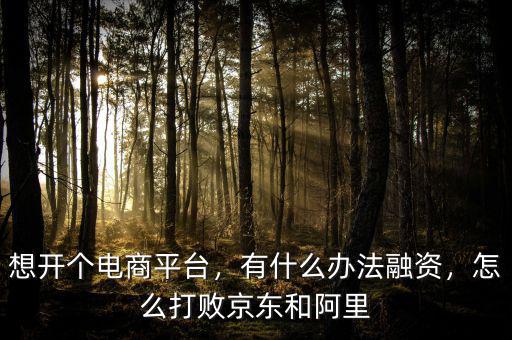 想開個電商平臺，有什么辦法融資，怎么打敗京東和阿里