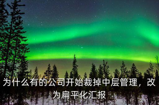 為什么有的公司開始裁掉中層管理，改為扁平化匯報(bào)
